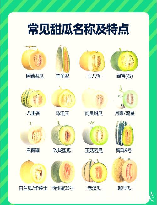 51吃瓜全网必吃十大热搜大瓜揭秘 51吃瓜全网必吃十大热搜大瓜揭秘